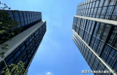 采用两梯一户设想